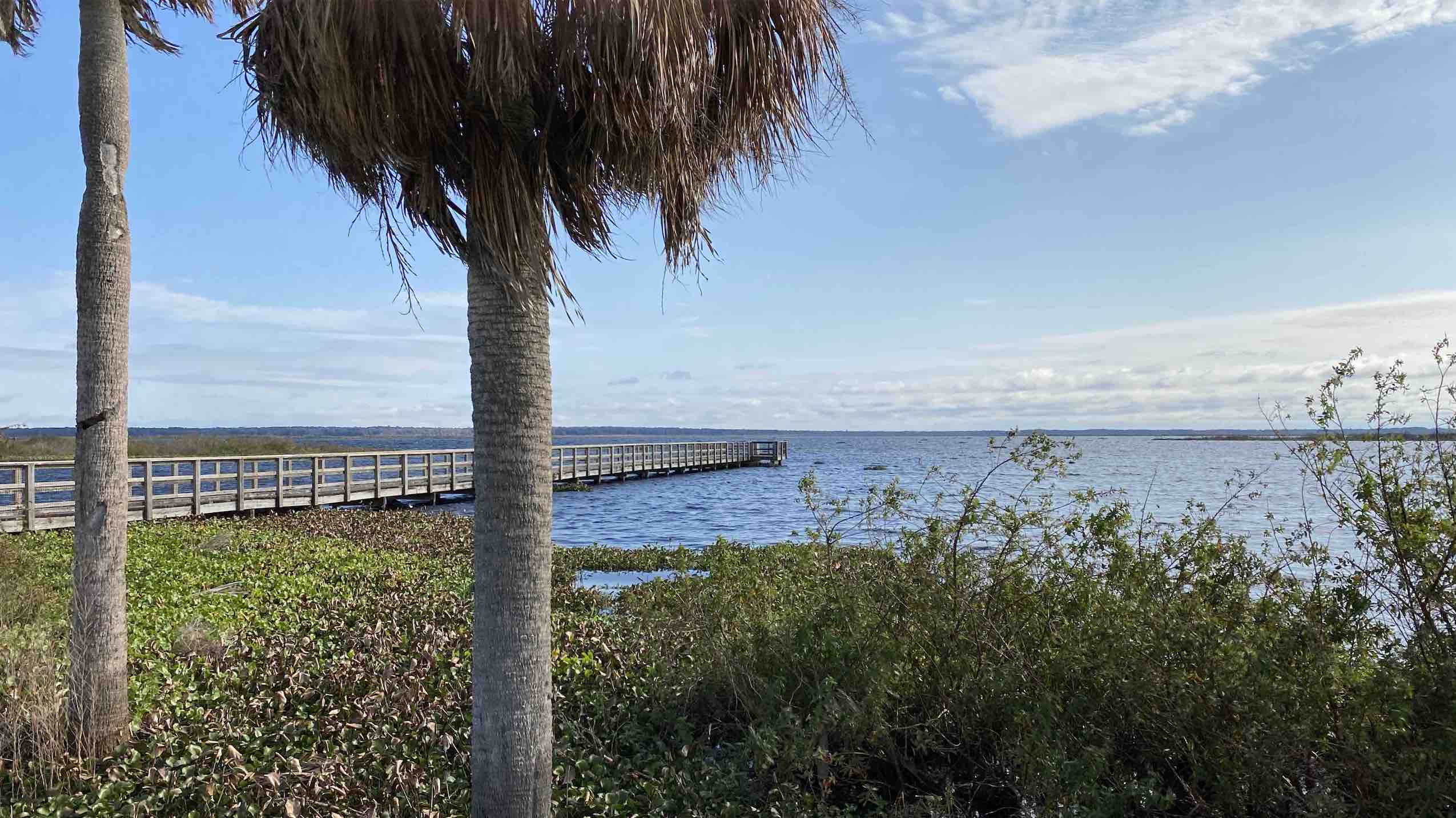 The Top Things to do in Micanopy, Florida